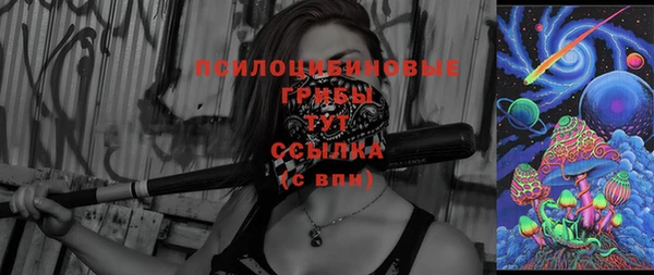 2c-b Карпинск
