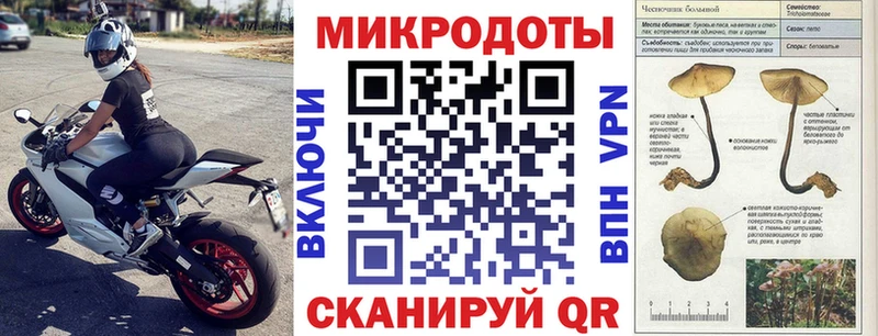 Купить  Белозерск  Галлюциногенные грибы Psilocybe 
